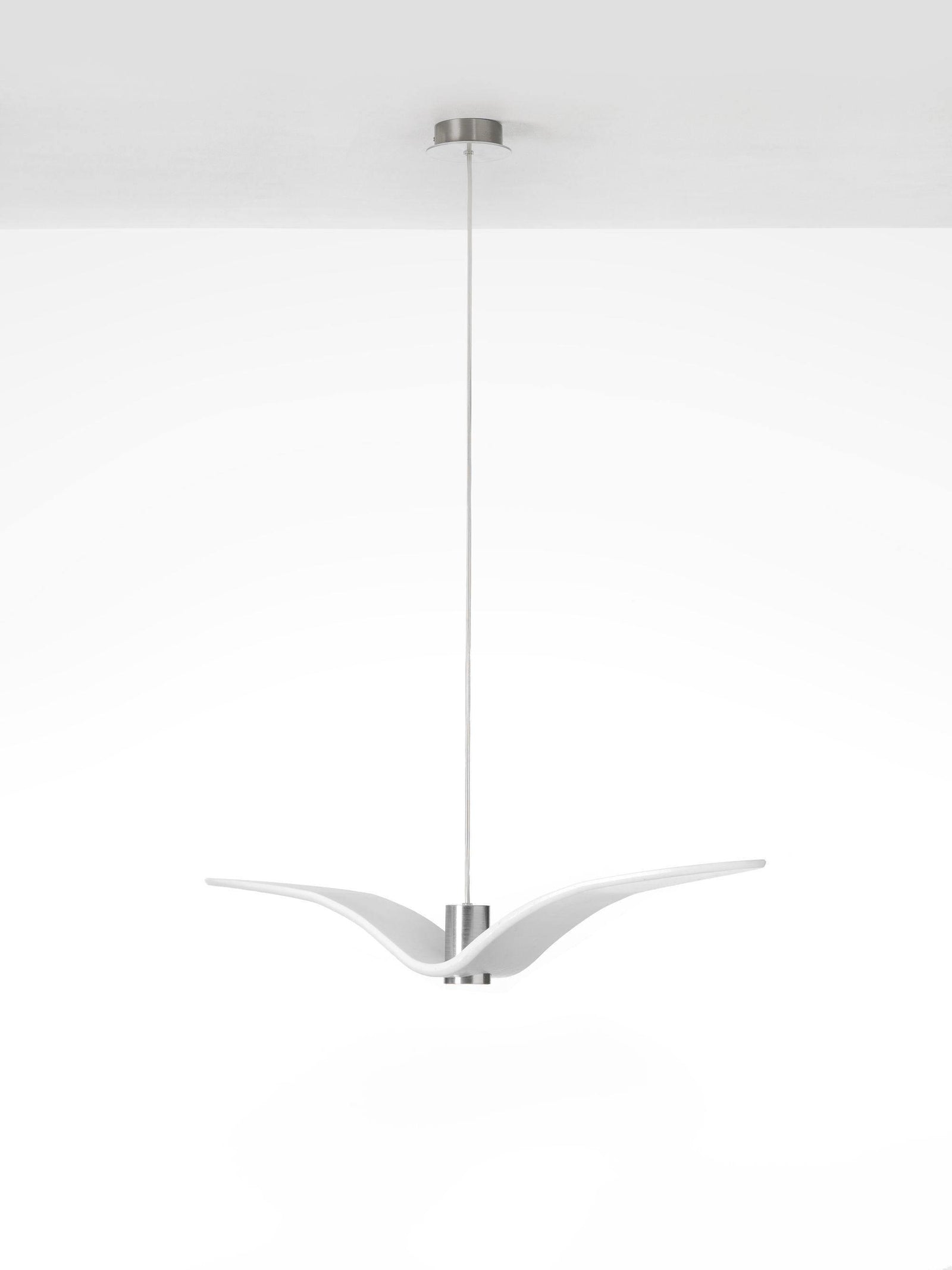 Cecily Gull Pendant Lighting