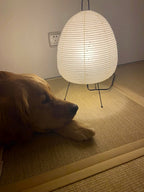 Akari 1A Table Lamp