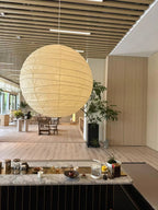 Akari D Plug-in Pendant Lighting