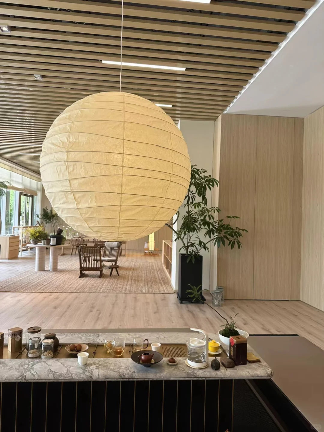 Akari D Plug-in Pendant Lighting