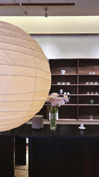 Akari D Pendant Lighting