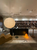 Akari D Plug-in Pendant Lighting