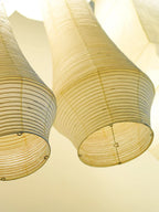 Akari E Plug-in Pendant Lighting