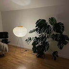 Akari 10A Floor Lamp