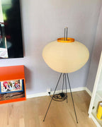 Akari 10A Floor Lamp