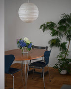 Akari D Plug-in Pendant Lighting