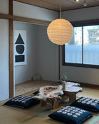 Akari D Pendant Lighting