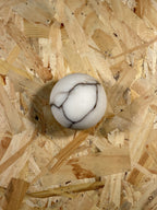 Arlo Orb Alabaster Sconce