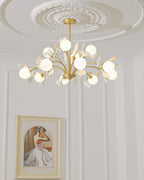 Carias B Chandeliers