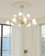 Carias B Chandeliers