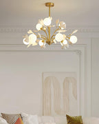 Carias B Chandeliers