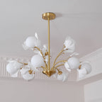 Carias B Chandeliers