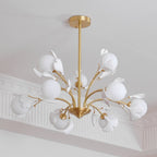 Carias B Chandeliers