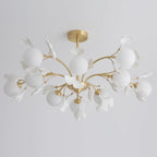 Carias B Chandeliers