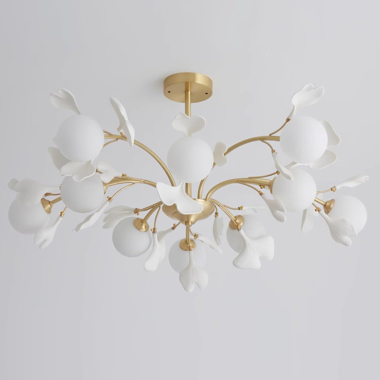 Carias B Chandeliers
