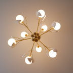Carias B Chandeliers