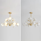 Carias B Chandeliers