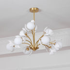 Carias B Chandeliers