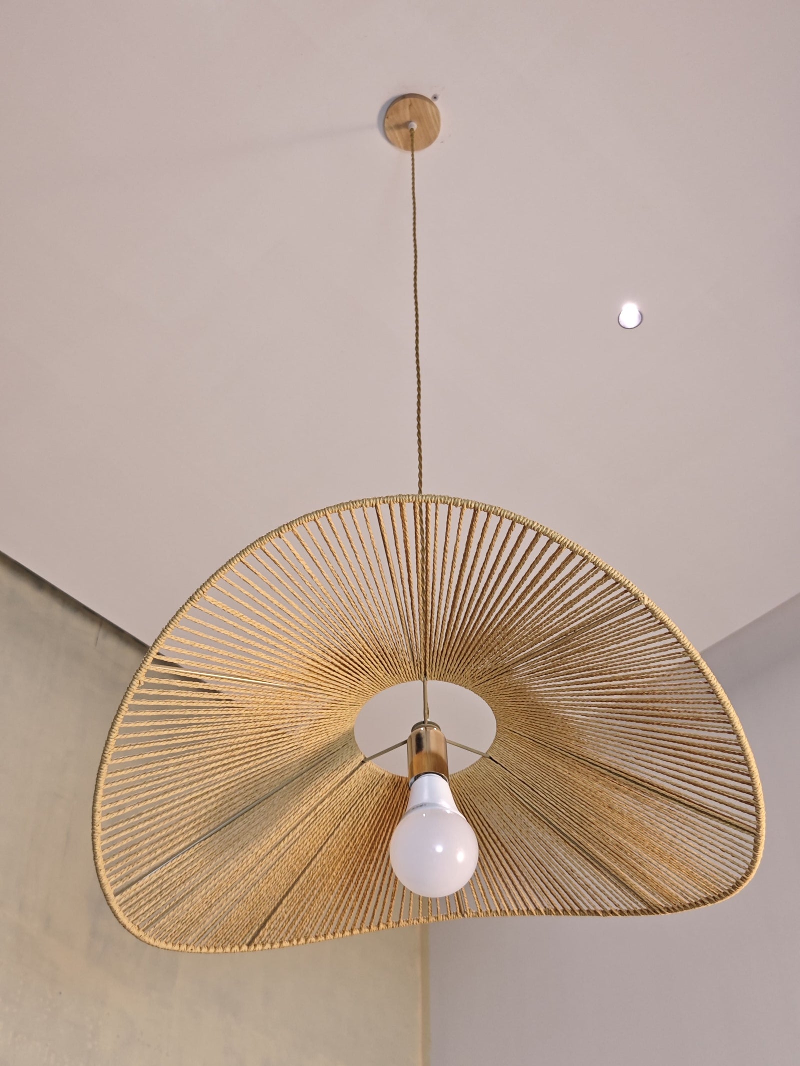 Cleme Straw Pendant Lighting