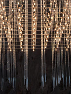Cosmos Suspension Light
