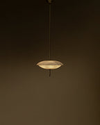 Cosmos Chandelier