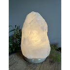 Danks Table Lamp