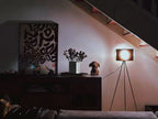 Dionna Floor Lamp
