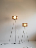 Dionna Floor Lamp