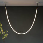 Edna Loop Pendant Lighting