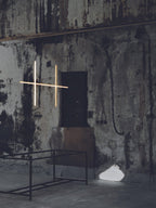 Coordinates Suspension Light