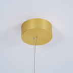 Coordinates Suspension Light
