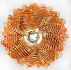 Fancy Italian Murano Felci Chandelier