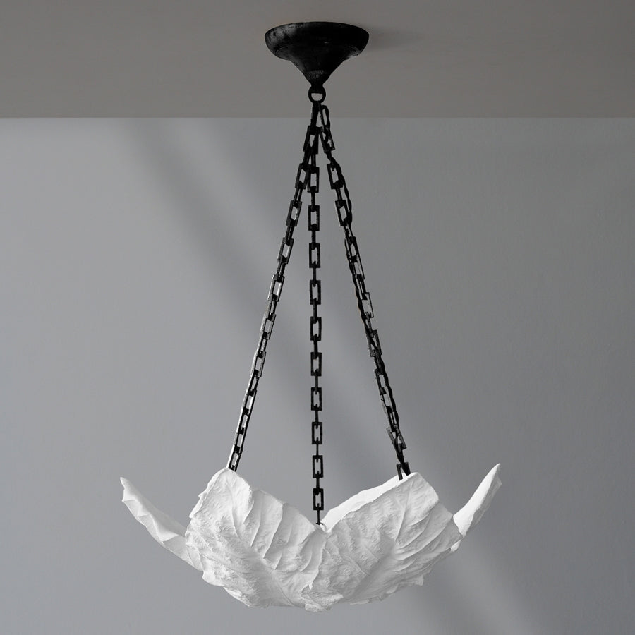 Folly Gesso Ceiling