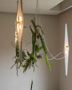 Fragment #01/02 Pendant Light