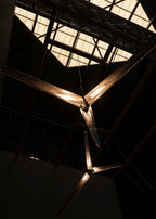 Fragment #10 Pendant Light