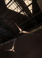 Fragment #10 Pendant Light