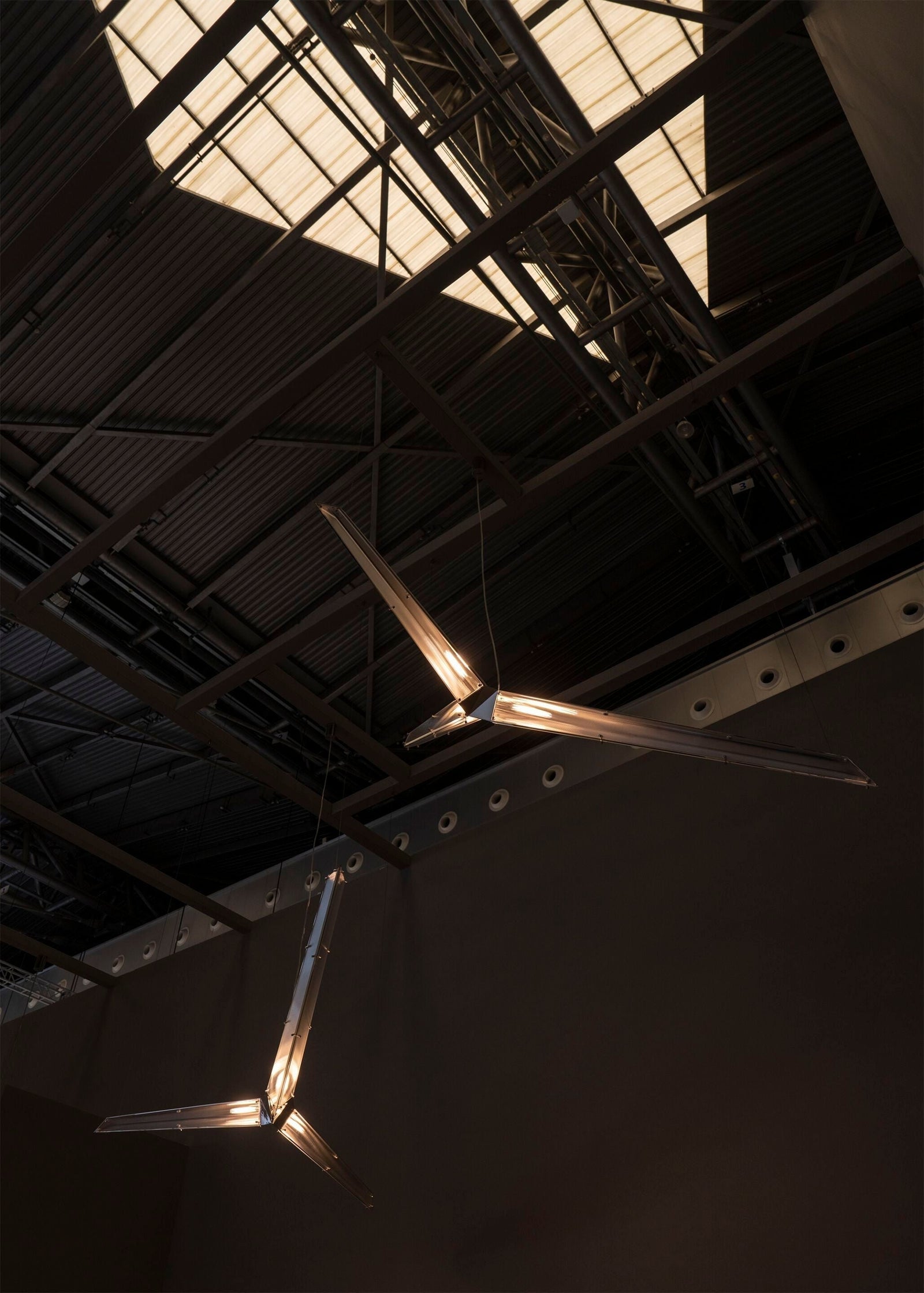 Fragment #10 Pendant Light
