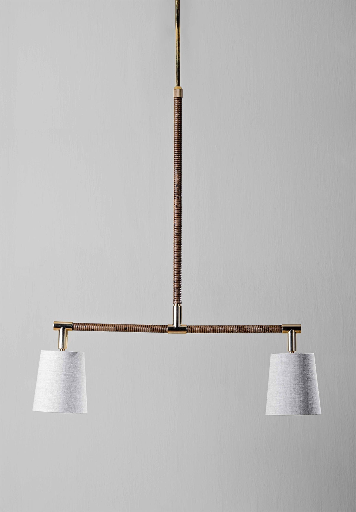 Holden Linear Pendant Downlight