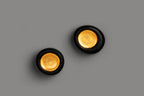 Iris Sconce