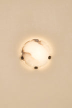 Jellyfish Sconce