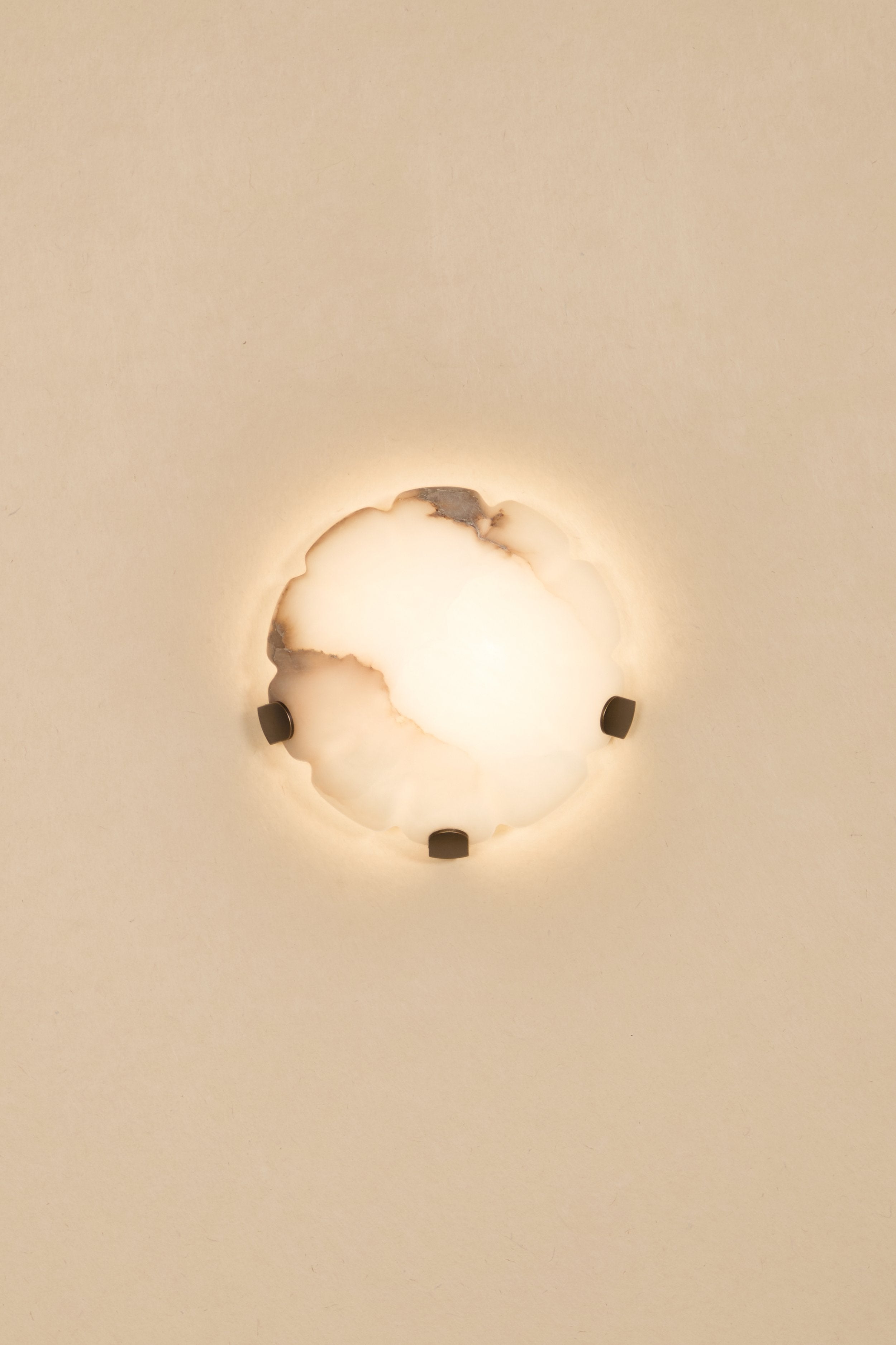 Jellyfish Sconce