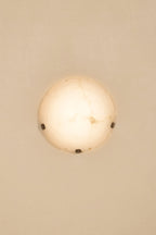 Jellyfish Sconce