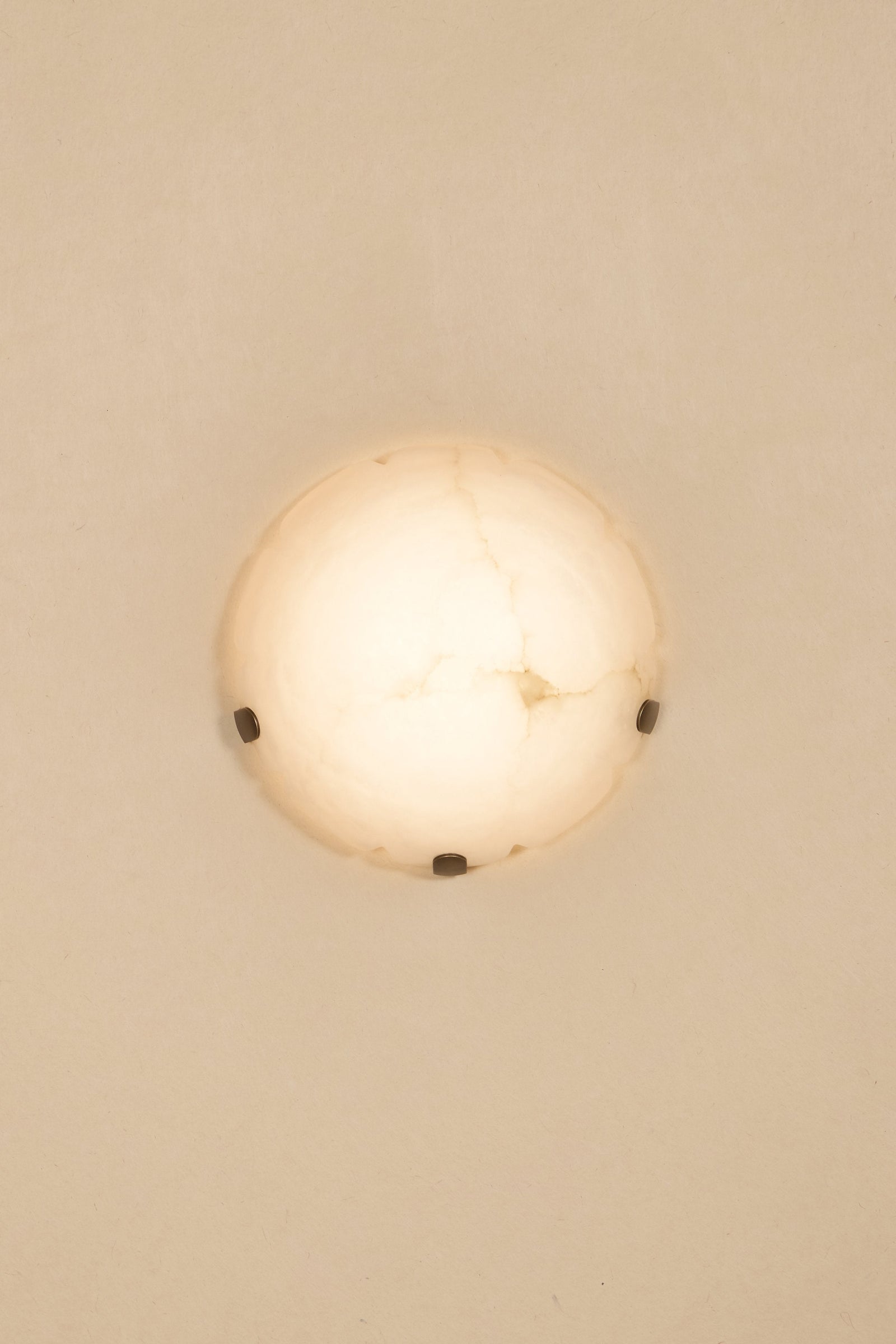 Jellyfish Sconce