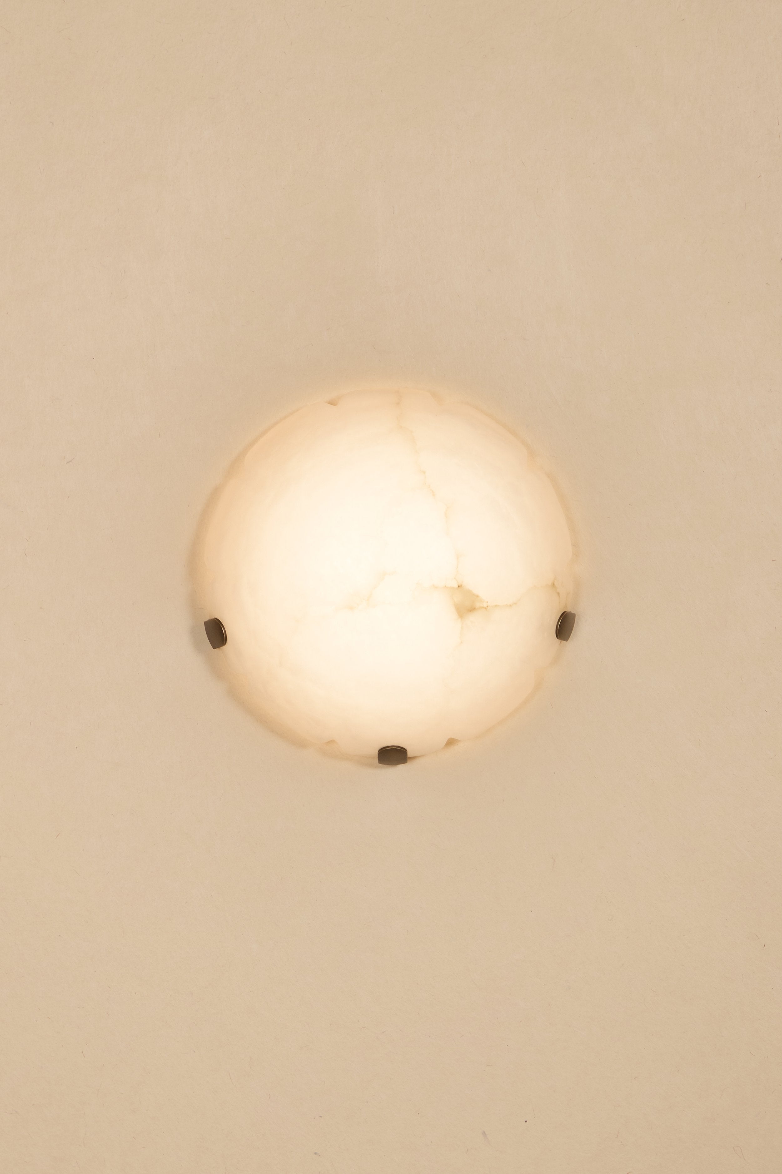 Jellyfish Sconce