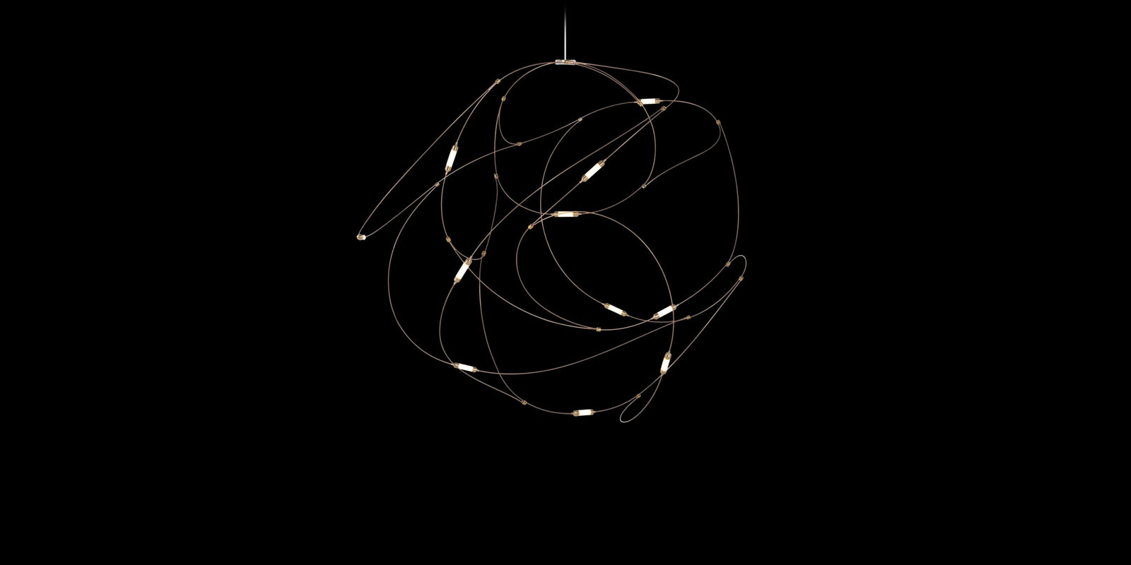 Flock of Light