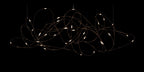 Flock of Light