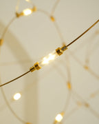 Flock of Light