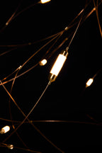 Flock of Light