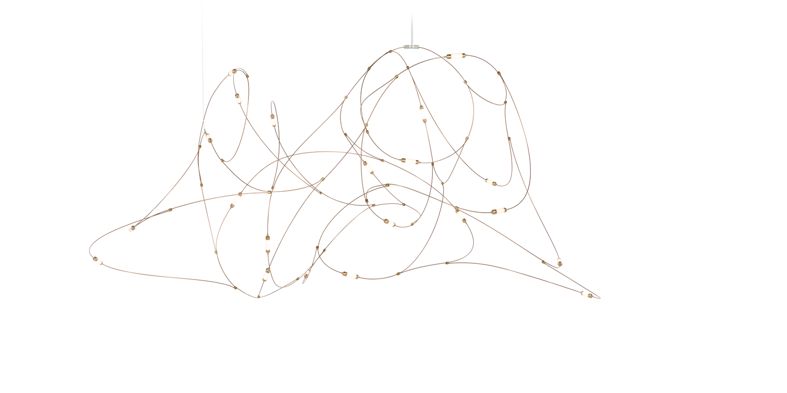 Flock of Light