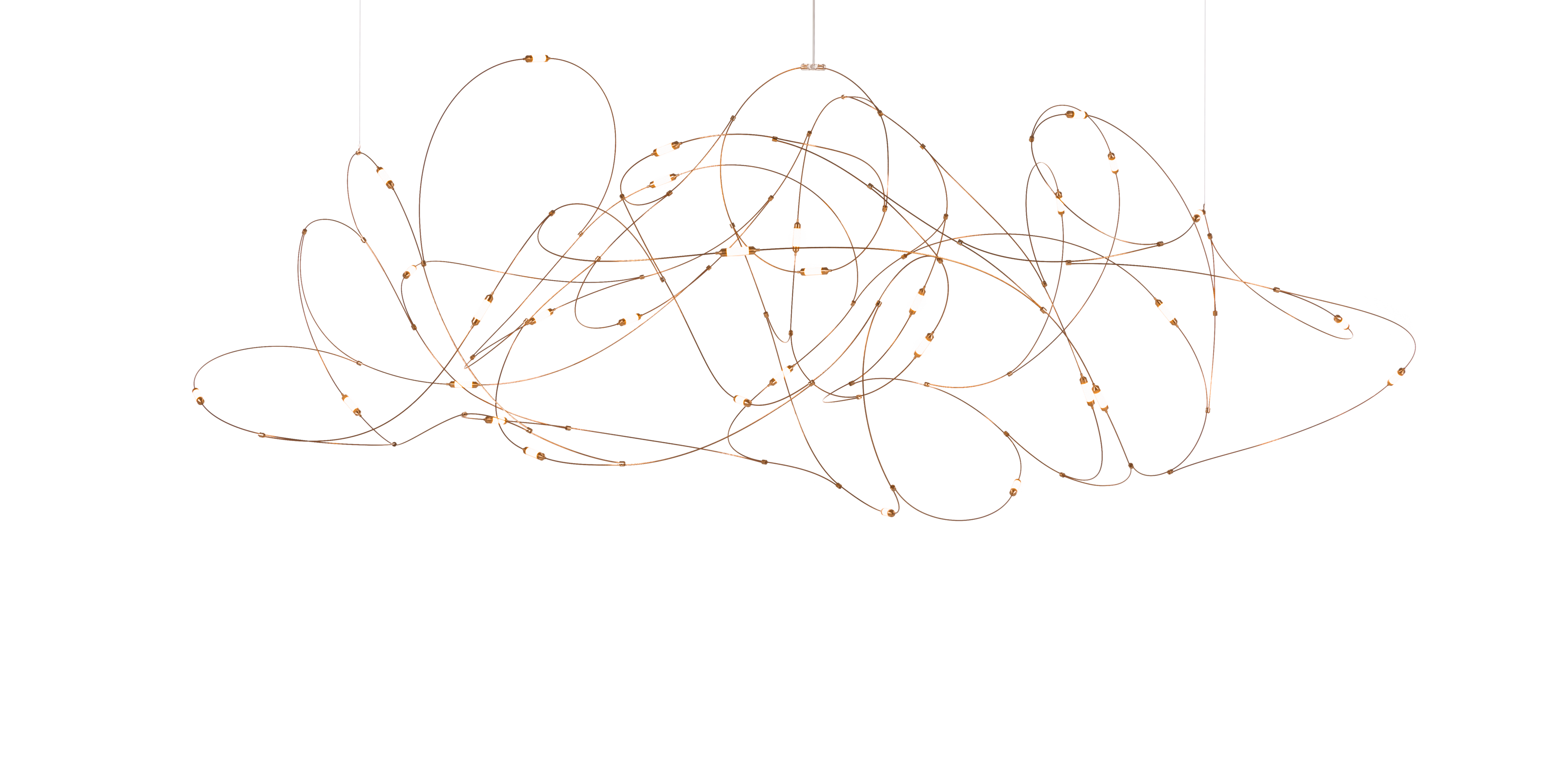 Flock of Light